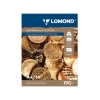 Самоклеящаяся пленка LOMOND A4, 195 г/м2, ЗОЛОТАЯ (GOLD), 10 листов, односторонняя, для лазерной печати (1703471)